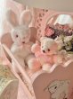 画像8: 【Vintage】Antique Pinky bear (8)