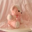 画像2: 【Vintage】Antique Pinky bear (2)