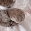 画像7: 【Vintage】Antique chocolate bear (7)