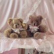 画像8: 【Vintage】Antique chocolate bear (8)