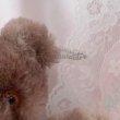 画像5: 【Vintage】Antique chocolate bear (5)