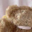 画像6: 【Vintage】Antique cookie bear (6)