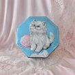 画像2: 【Vintage】Kitty blue tin (2)