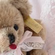 画像5: 【Vintage】Antique cookie bear (5)
