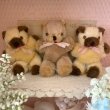 画像5: 【Vintage】Fluffy castella bear (5)