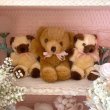 画像6: 【Vintage】Fluffy castella bear (6)