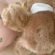画像5: 【Vintage】Brownie bear 02 (5)