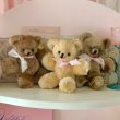 画像6: 【Vintage】Chiffon  bear (6)