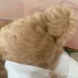 画像7: 【Vintage】Brownie bear 02 (7)