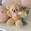 画像1: 【Vintage】Chiffon  bear (1)