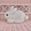 画像4: 【Vintage】Orthodox white bunny pair set (4)