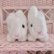 画像2: 【Vintage】Orthodox white bunny pair set (2)