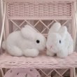 画像1: 【Vintage】Orthodox white bunny pair set (1)