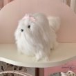 画像2:  【Vintage】Fluffy white maltese (2)