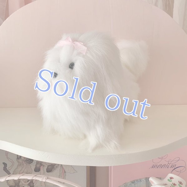 画像2:  【Vintage】Fluffy white maltese (2)