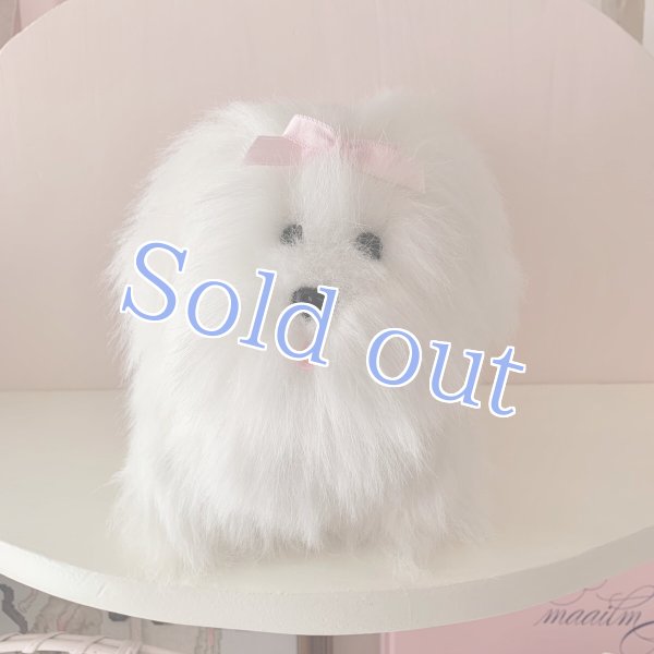 画像3:  【Vintage】Fluffy white maltese (3)