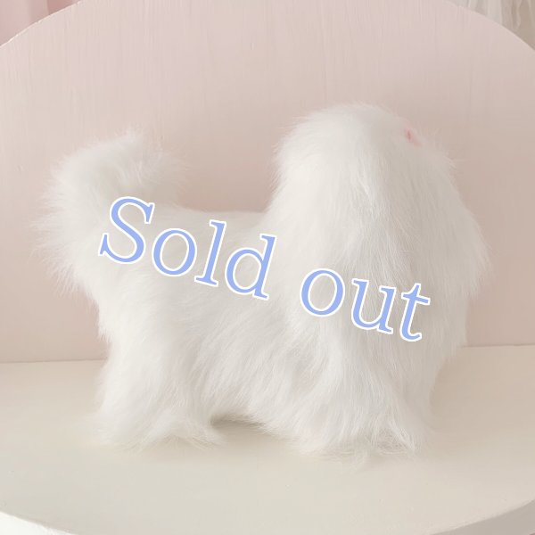 画像4:  【Vintage】Fluffy white maltese (4)