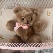 画像1: 【Vintage】Brownie bear 05 (1)