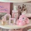 画像5: 【Vintage】Rattle pink bunny (5)