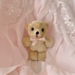 画像2: 【Vintage】Mini pero bear 2 (2)