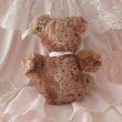 画像4: 【Vintage】Antique medium brownie bear (4)