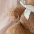 画像6: 【Vintage】Antique milk cocoa bear (6)